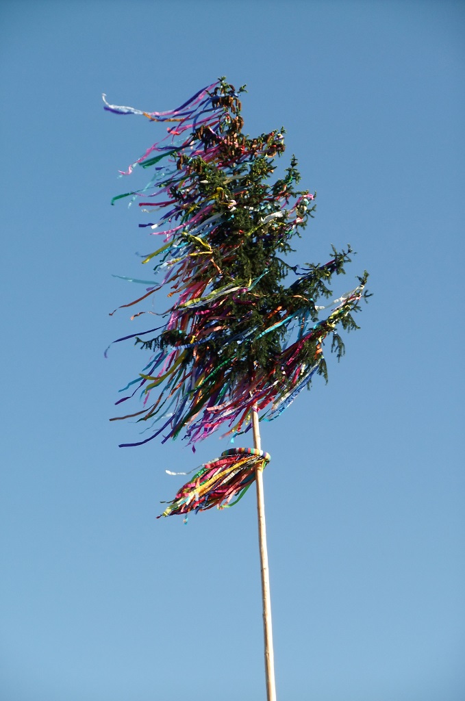 DSCF1223