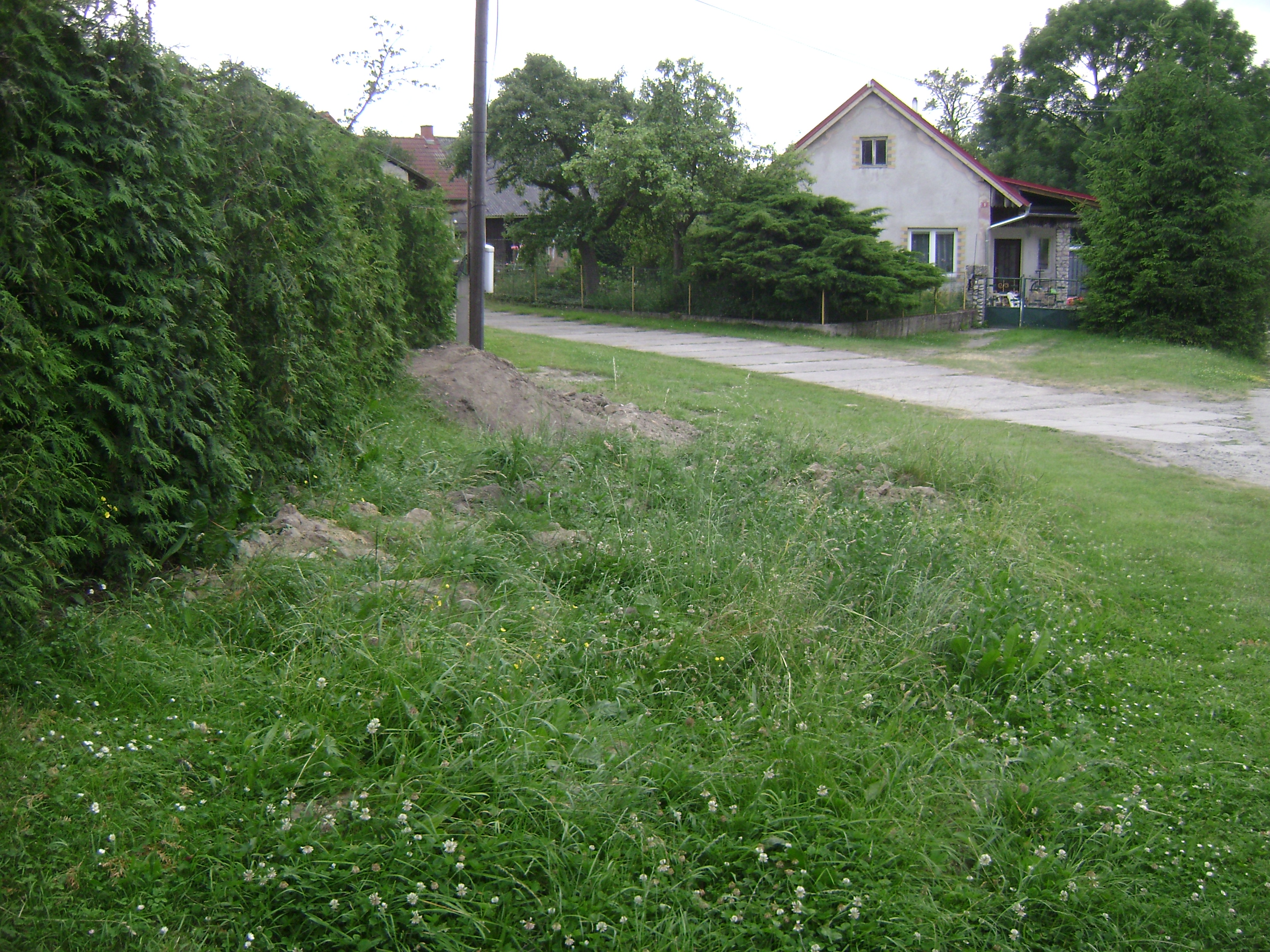 DSC04247.JPG